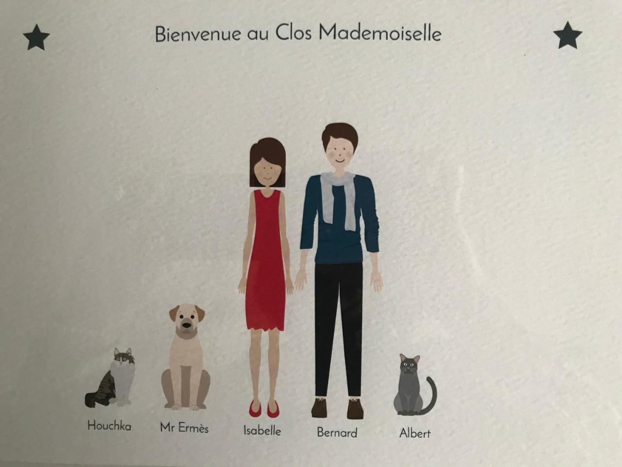 Le Clos Mademoiselle Loches Bagian luar foto